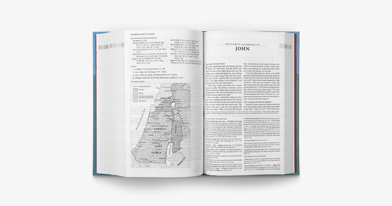 ESV Teen Study Bible (Wellspring)