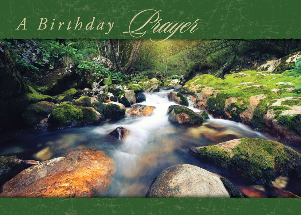 Faithful Falls Birthday Boxed Cards (box of 12)