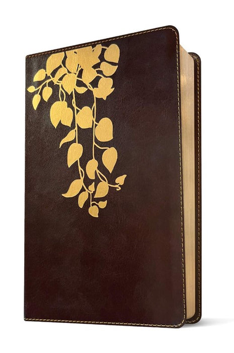 NLT Thrive Devotional Bible for Women, Deep Brown