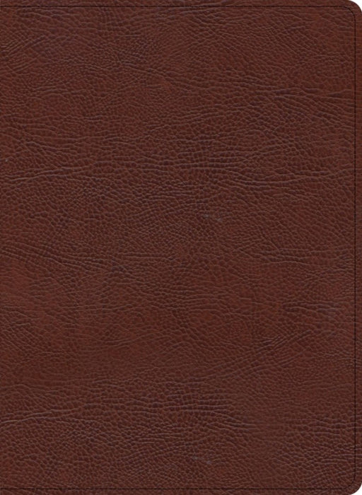 KJV Study Bible, Large Print Edition, Brown Bonded Leather