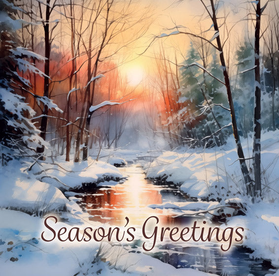 Christmas Boxed Cards: Winter Scenes (Pack Of 16)