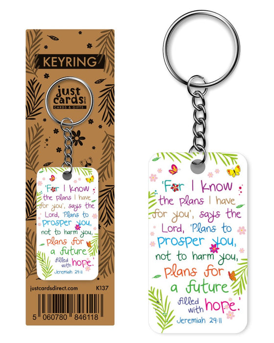 I Know The Plans Keyring