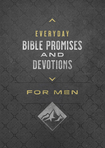 Everyday Bible Promises And Devs For Men