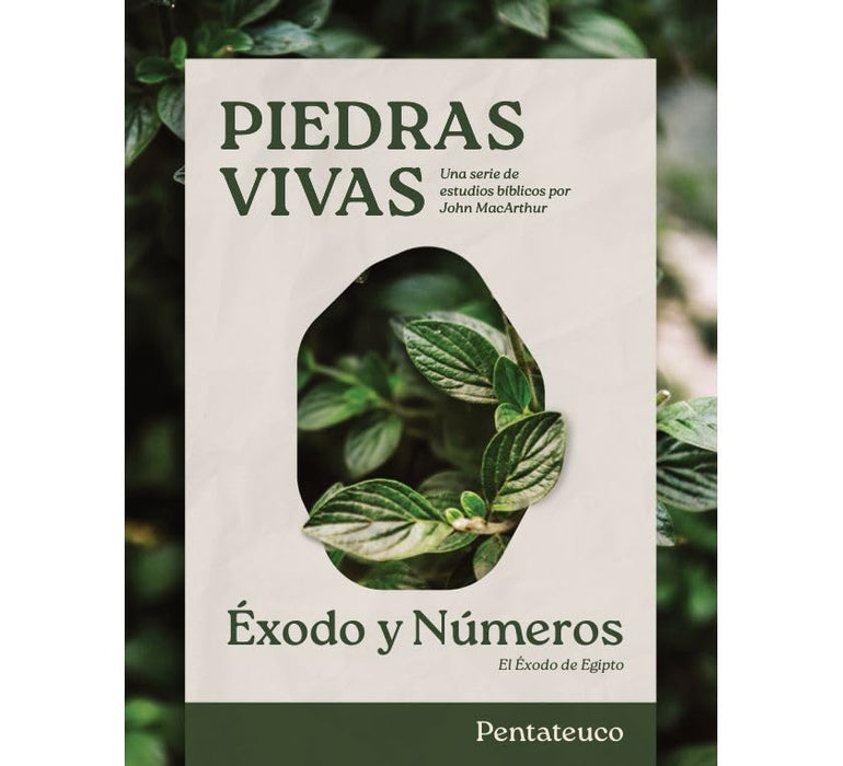 Piedras Vivas: Éxodo Y Números - Estudio Bíblico