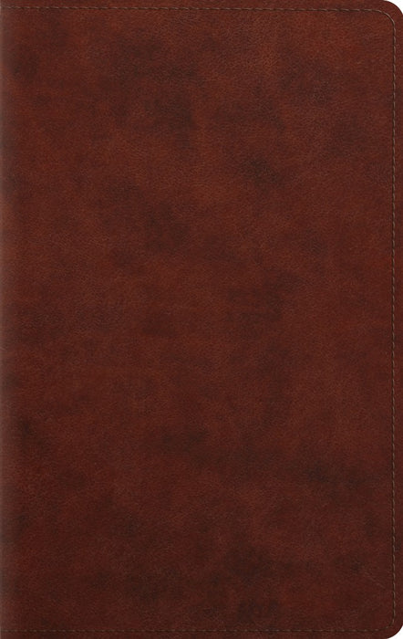 ESV Large Print Personal Size Bible, Trutone, Chestnut
