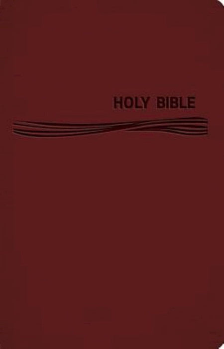 CEB Deep Blue Kids Bible Classic Burgundy