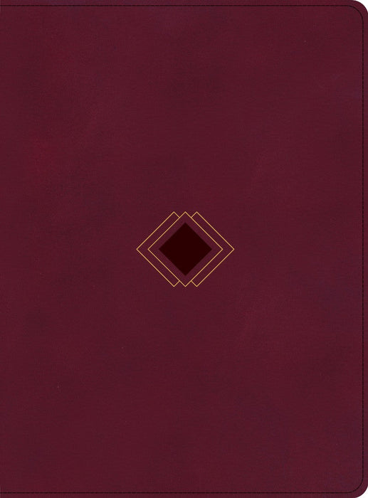 CSB Day-by-Day Chronological Bible, Burgundy LeatherTouch