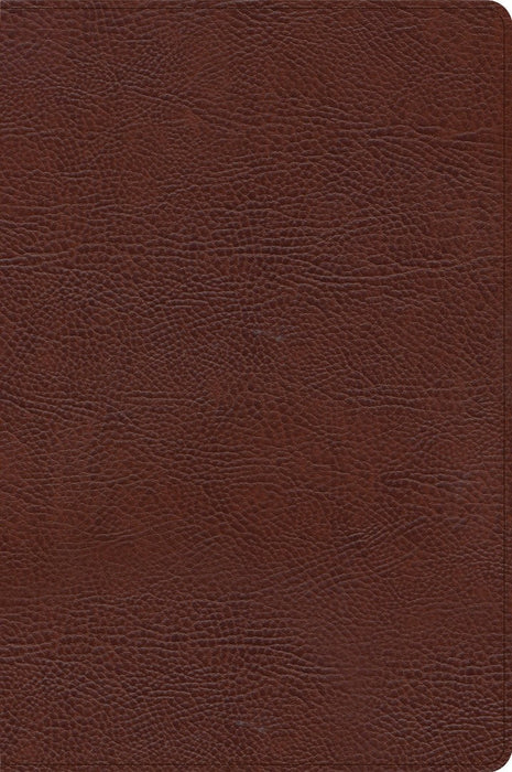 CSB Large Print Thinline Bible, Brown Bonded Leather