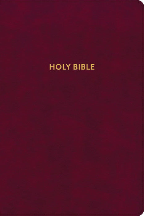 KJV Rainbow Study Bible, Burgundy LeatherTouch, Indexed