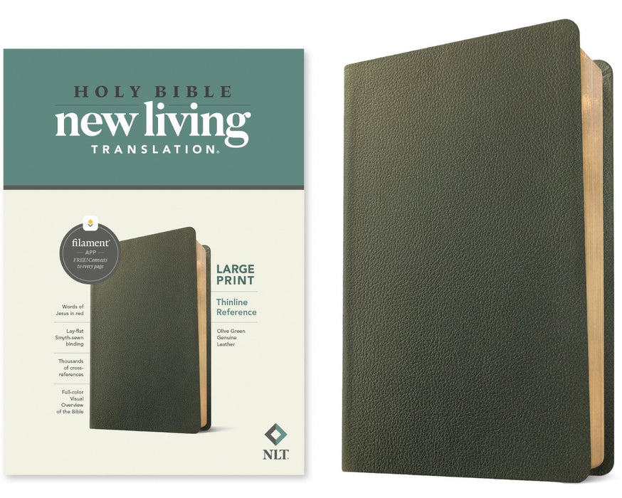 NLT Large Print Thinline Reference Bible, Filament Edition