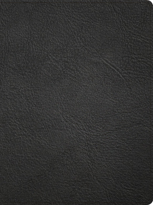 CSB Life Counsel Bible, Genuine Leather