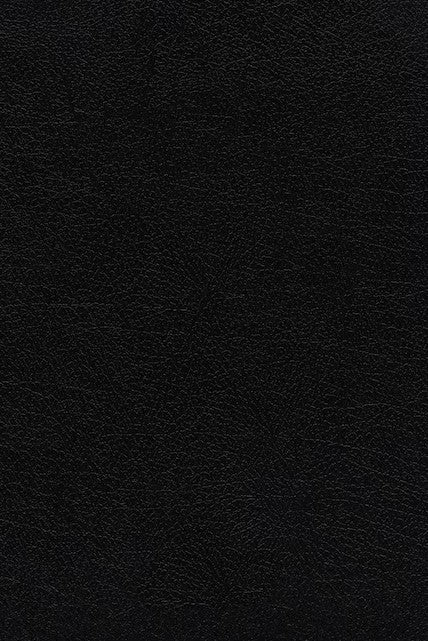 KJV Thompson Chain-Reference Bible, Black, Indexed