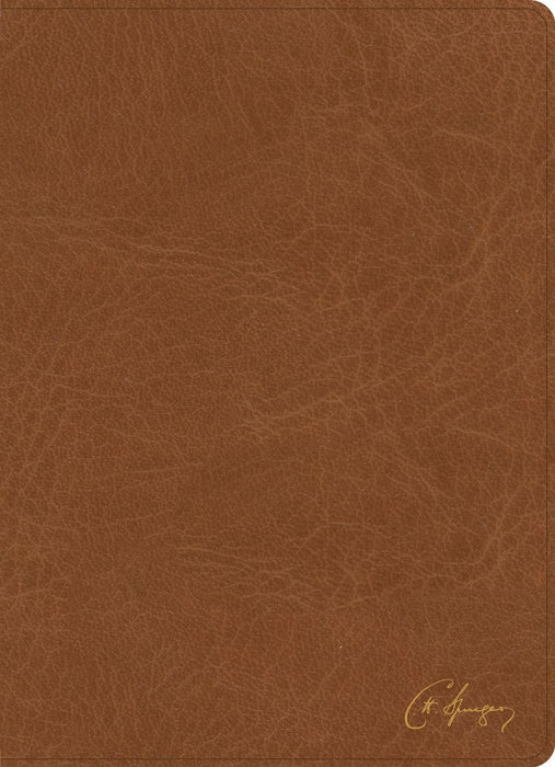 KJV Spurgeon Study Bible, Tan Leathertouch