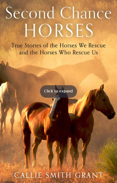 Second-Chance Horses