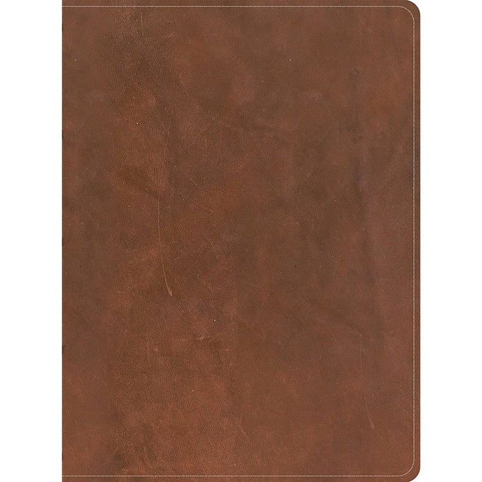 CSB Men's Daily Bible, Brown Genuine Leather