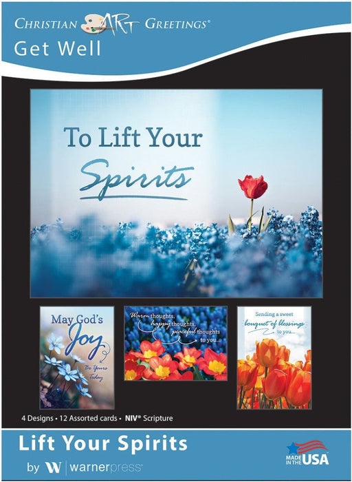 Life Your Spirits Get Well Boxed Cards (pack of 12)