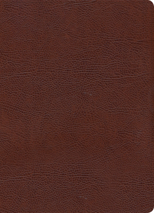 KJV Study Bible, Full-Color, Brown Bonded Leather