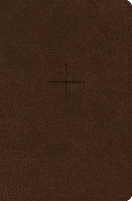 CSB Every Day with Jesus Daily Bible, Brown