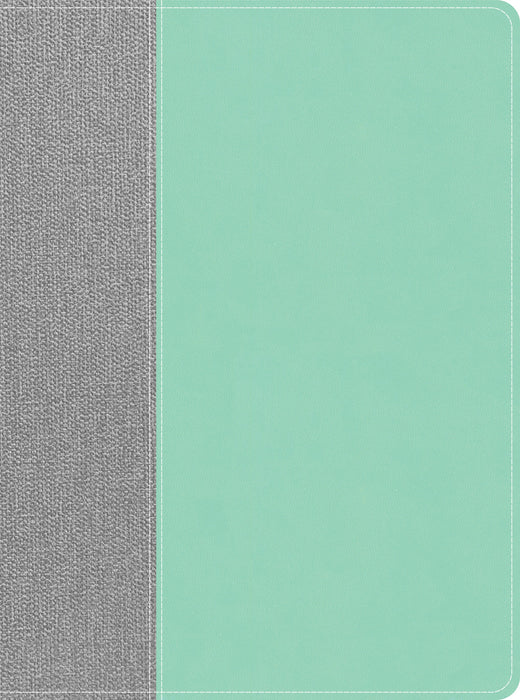 CSB Lifeway Women's Bible, Gray/Mint LeatherTouch