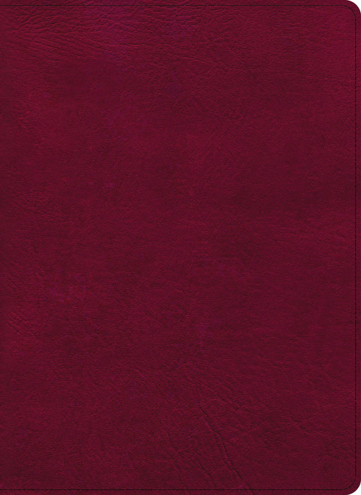 CSB Holy Land Illustrated Bible, Burgundy LeatherTouch