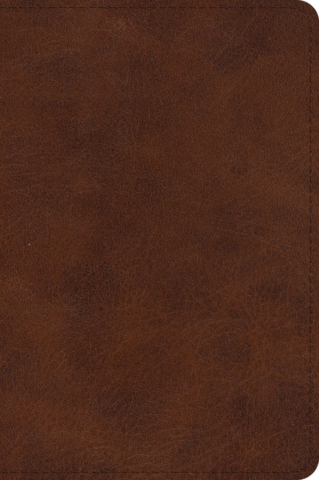 ESV Large Print Bible, TruTone, Deep Brown