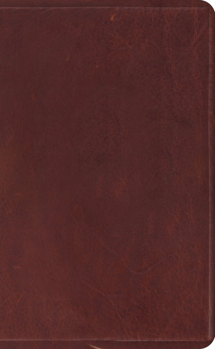 ESV Pocket Bible