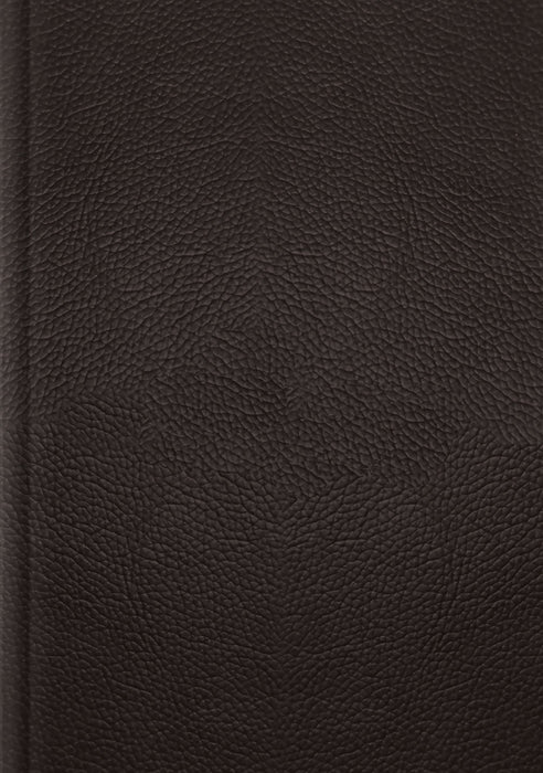 ESV Single Column Journaling Bible, Large Print