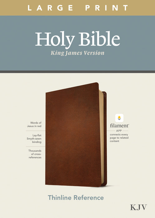 KJV Large Print Thinline Reference Bible, Filament Edition