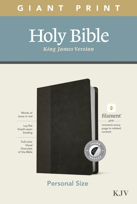 KJV Personal Size Giant Print Bible, Filament Edition, Black Imitation Leather – Large Print