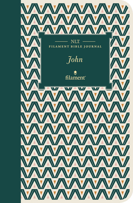 NLT Filament Bible Journal: John (Softcover)