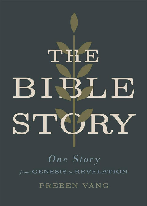 The Bible Story