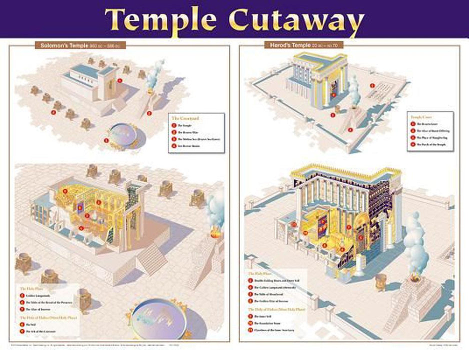 Temple Cutaway Wall Chart